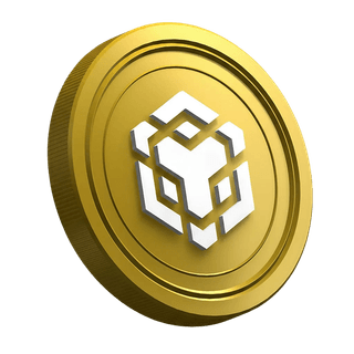 Halaman panduan trader baru menampilkan koin kripto BNB dari Binance